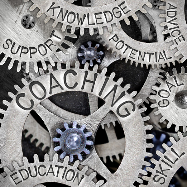 Various gears, each with a word engraved on it. The main word that can be fully seen is coaching. Others include support, knowledge, and education.
